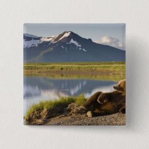 VS, Alaska, Katmai National Park, Bruine beren Vierkante Button 5,1 Cm
