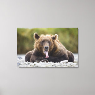 VS, Alaska, Katmai National Park, Kukak Bay, Canvas Afdruk