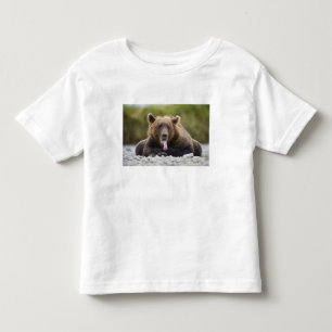 VS, Alaska, Katmai National Park, Kukak Bay, Kinder Shirts