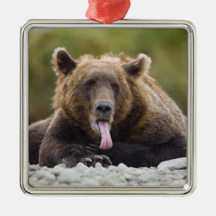 VS, Alaska, Katmai National Park, Kukak Bay, Metalen Ornament