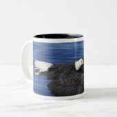VS, Alaska, Kenai Peninsula Bald eagle Tweekleurige Koffiemok (Voorkant links)