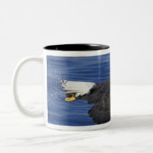 VS, Alaska, Kenai Peninsula Bald eagle Tweekleurige Koffiemok (Links)