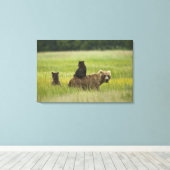 VS, Alaska, Lake Clark National Park Canvas Afdruk (Insitu (Houten vloer))