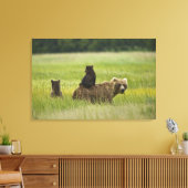 VS, Alaska, Lake Clark National Park Canvas Afdruk (Insitu (Woonkamer))