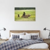 VS, Alaska, Lake Clark National Park Canvas Afdruk (Insitu (Slaapkamer))
