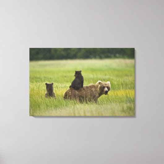 VS, Alaska, Lake Clark National Park Canvas Afdruk (Voorkant)