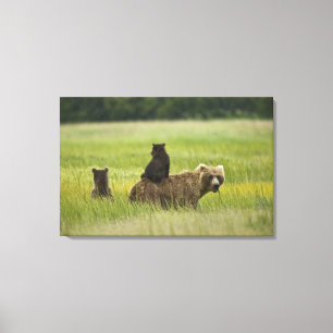 VS, Alaska, Lake Clark National Park Canvas Afdruk