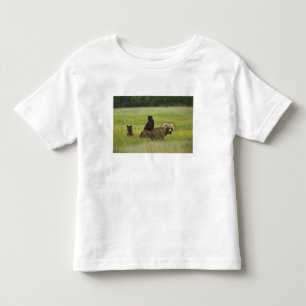 VS, Alaska, Lake Clark National Park Kinder Shirts