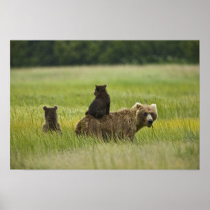 VS, Alaska, Lake Clark National Park Poster