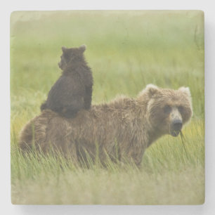 VS, Alaska, Lake Clark National Park Stenen Onderzetter
