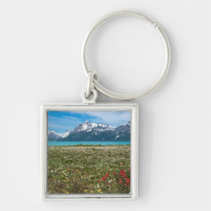 VS, Alaska, Nationaal park Glacier Bay 2 Sleutelhanger