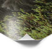 VS, Alaska, Nome. Sluiting van de muskus ox Foto Afdruk (Hoek)