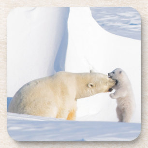VS, Alaska, North Slope Ijsberen Bier Onderzetter