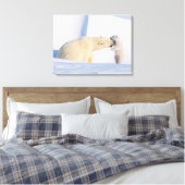 VS, Alaska, North Slope | IJsberen Canvas Afdruk (Insitu (Slaapkamer))