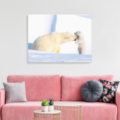 VS, Alaska, North Slope | IJsberen Canvas Afdruk (Insitu (Woonkamer))