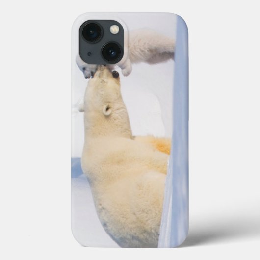 VS, Alaska, North Slope | IJsberen Case-Mate iPhone Case (Achterkant)