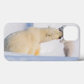 VS, Alaska, North Slope | IJsberen Case-Mate iPhone Case (Achterkant (horizontaal))