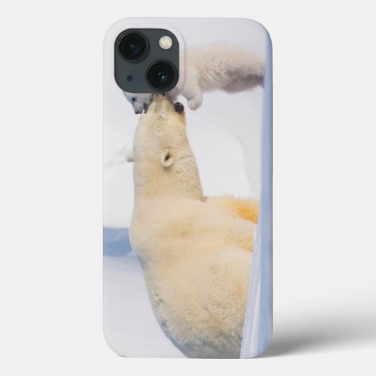 VS, Alaska, North Slope | IJsberen Case-Mate iPhone Case (Achterkant)