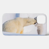 VS, Alaska, North Slope | IJsberen Case-Mate iPhone Case (Achterkant (horizontaal))