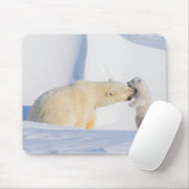 VS, Alaska, North Slope | IJsberen Muismat (Met muis)