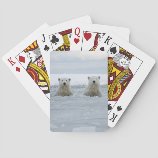 VS, Alaska, North Slope, IJsberen Pokerkaarten (Achterkant)