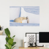 VS, Alaska, North Slope | IJsberen Poster (Thuiskantoor)