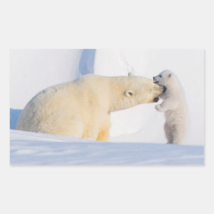 VS, Alaska, North Slope Ijsberen Rechthoekige Sticker