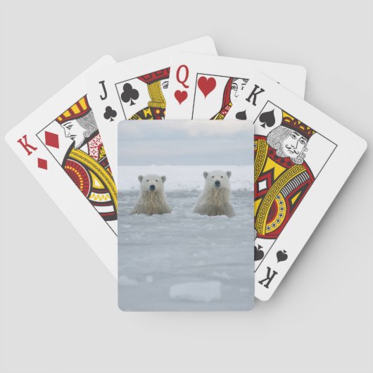VS, Alaska, North Slope, IJsberen Speelkaarten (Achterkant)