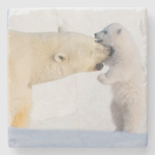 VS, Alaska, North Slope Ijsberen Stenen Onderzetter