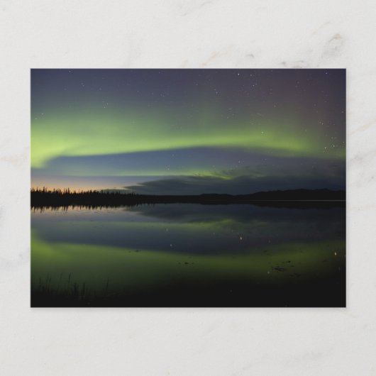 VS, Alaska, poolcirkel, Bettles. De Briefkaart (Voorkant)
