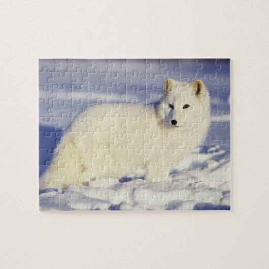 VS, Alaska. Poolvos in winterjas Legpuzzel (Horizontaal)