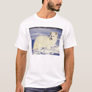 VS, Alaska. Poolvos in winterjas T-shirt