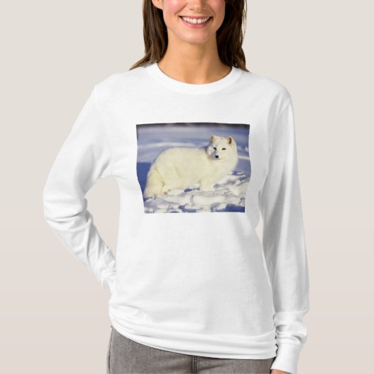 VS, Alaska. Poolvos in winterjas T-shirt (Voorkant)