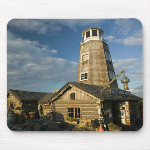 VS, ALASKA, SCHIEREILAND KENAI, HOMER: Homer Spit Muismat