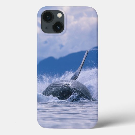 VS, Alaska, Tongass National Forest, Bultrug Case-Mate iPhone Case (Achterkant)
