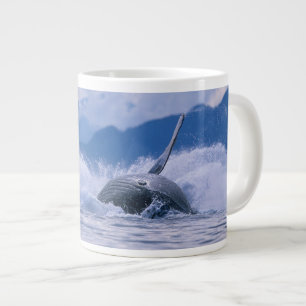 VS, Alaska, Tongass National Forest, Bultrug Grote Koffiekop