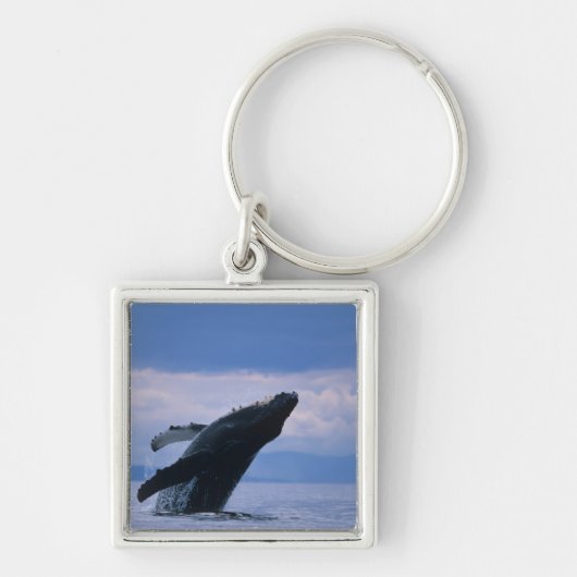 VS, Alaska, Tongass National Forest, Bultrug Sleutelhanger (Voorkant)