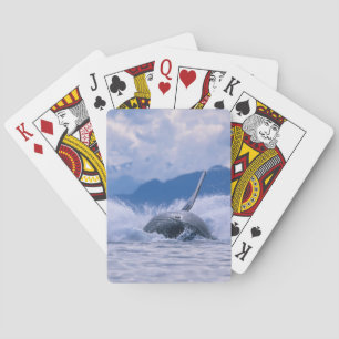 VS, Alaska, Tongass National Forest, Bultrug Speelkaarten