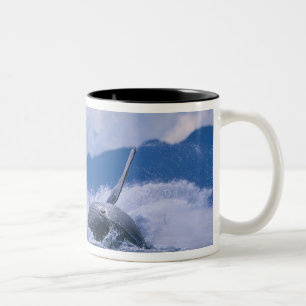 VS, Alaska, Tongass National Forest, Bultrug Tweekleurige Koffiemok
