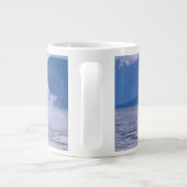 VS, Alaska, Tongass National Forest, Humpback Grote Koffiekop (Achterkant)