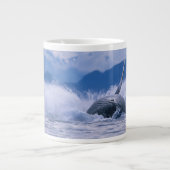 VS, Alaska, Tongass National Forest, Humpback Grote Koffiekop (Voorkant)