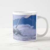 VS, Alaska, Tongass National Forest, Humpback Grote Koffiekop (Rechts)