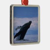 VS, Alaska, Tongass National Forest, Humpback Metalen Ornament (Rechts)