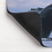 VS, Alaska, Tongass National Forest, Humpback Muismat (Hoek)