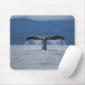 VS, Alaska, Tongass National Forest, Humpback Muismat (Met muis)