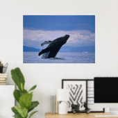 VS, Alaska, Tongass National Forest, Humpback Poster (Thuiskantoor)