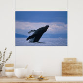 VS, Alaska, Tongass National Forest, Humpback Poster (Keuken)