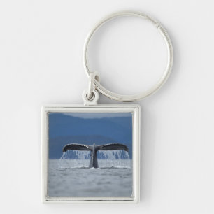 VS, Alaska, Tongass National Forest, Humpback Sleutelhanger