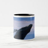 VS, Alaska, Tongass National Forest, Humpback Tweekleurige Koffiemok (Center)