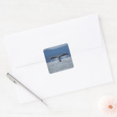 VS, Alaska, Tongass National Forest, Humpback Vierkante Sticker (Envelop)